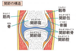 整骨院でのボキボキ音が怖い 鳴らす理由ってあるの ぷらす鍼灸整骨院グループ