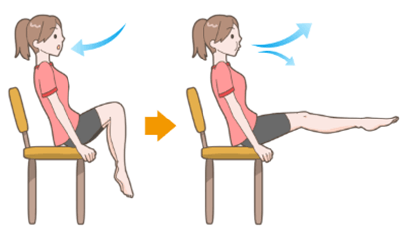 骨盤を立てる 正しい座り方と運動で骨盤を立てよう 専門家監修 ぷらす鍼灸整骨院グループ